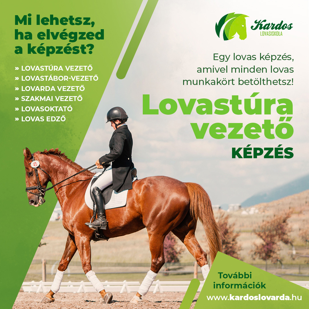 Kardos_lovarda_Győrfi Judit